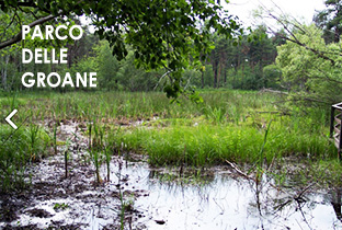 parco delle groane